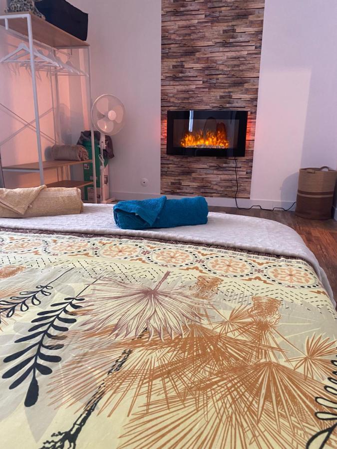 Super Appartement T2 Proche Gare Sens Luaran gambar